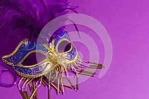 Carnivale mask with purple feathers on a purple background