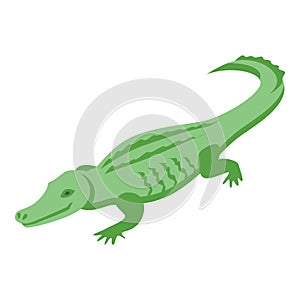 Carnivore crocodile icon, isometric style