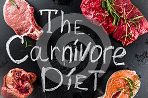 Carnivore protein diet background