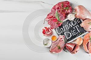 Carnivore protein diet background