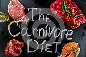 Carnivore protein diet background