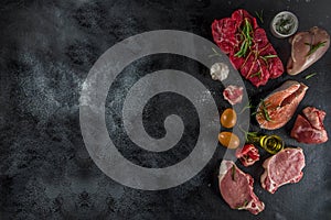 Carnivore protein diet background