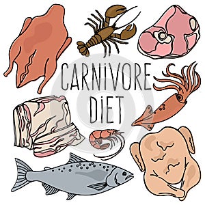 CARNIVORE DIET Organic Healthy Food Vector Illustration Set