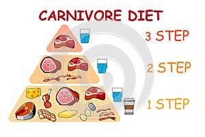 Carnivore diet pyramid vector illustration