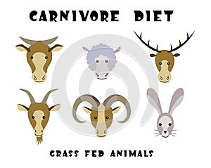 Carnivore Diet - Vector