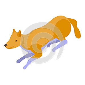 Carnivore dog icon isometric vector. Wild animal