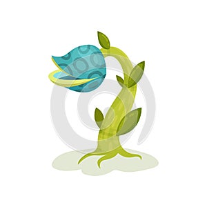 Carnivore plant, fantastic blue flower vector Illustration on a white background