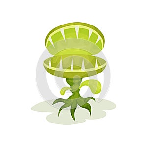 Carnivore plant with teeth, fantastic malicious green plant vector Illustration on a white background