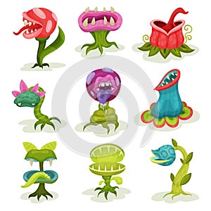 Carnivore plants set, colorful fantastic malicious killer flowers with teeth vector Illustrations on a white background