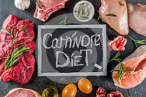 Carnivore protein diet background