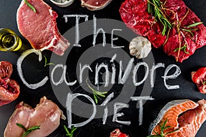 Carnivore protein diet background