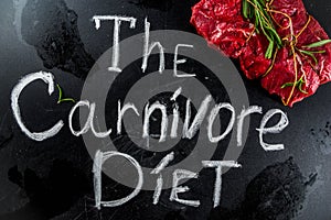 Carnivore protein diet background