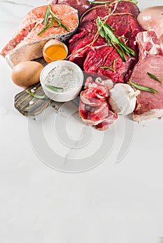 Carnivore protein diet background