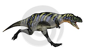 Carnivorous Dinosaur photo