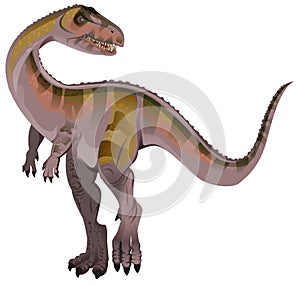 Carnivorous dinosaur Allosaurus
