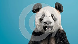 A carnivorous panda bear with electric blue fur and whiskers looking surprised