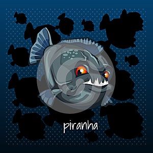Carnivorous piranha grins on a dark background photo