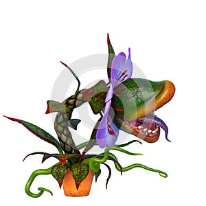 Carnivorous plant with copy space in a white background