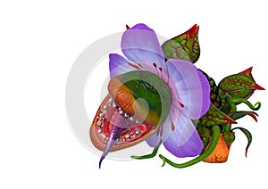 Carnivorous plant with copy space in a white background