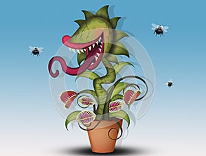 Carnivorous plant eat flies