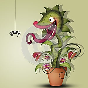 Carnivorous plant eat spider