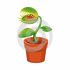 Carnivorous Plant on Pot Cartoon illutration vector