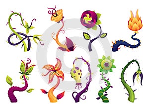 Carnivorous plant set. Cartoon flytraps or flower predators. Angry flowers, monster plant icons. Vector illustration