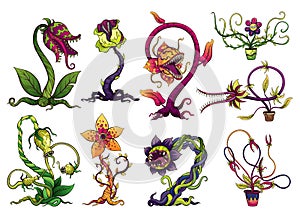 Carnivorous plant set. Cartoon flytraps or flower predators. Angry flowers with teeth. Monster plant icons. Vector