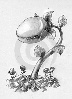 Carnivorous plant - sketch