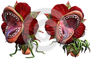 Carnivorous plant about to attack 3D illustration