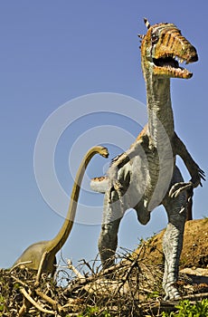 Carnivorous Syntarsus and giant Brontosaurus