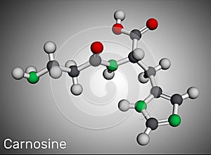 Carnosine dipeptide molecule. It is anticonvulsant, antioxidant, antineoplastic agent, human metabolite. Molecular model. 3D