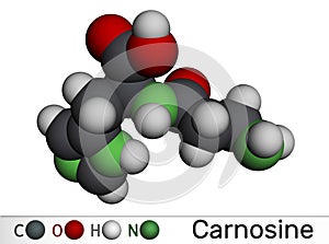 Carnosine dipeptide molecule. It is anticonvulsant, antioxidant, antineoplastic agent, human metabolite. Molecular model. 3D