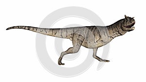 Carnotaurus dinosaur - 3D render