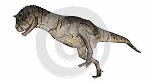 Carnotaurus dinosaur - 3D render