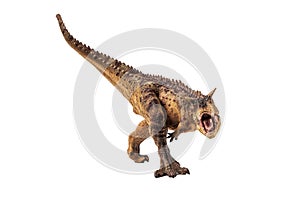 Carnotaurus Dinosaur on white background