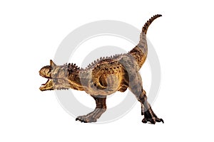 Carnotaurus  Dinosaur on white background