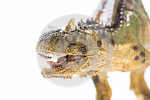 Carnotaurus, on white background