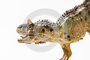 Carnotaurus, on white background