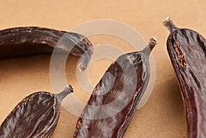 Carob, Ceratonia siliqua