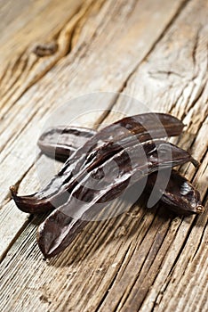 Carob, Ceratonia siliqua