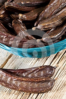 Carob, Ceratonia siliqua