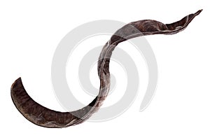 Carob pod, isolated on white