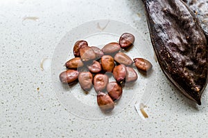 Carob Seeds and Pods Carats / Locust Beans Ready to Use