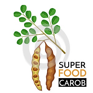 Carob vector icon.