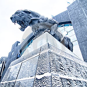 Carolina panthers statue covered in snow