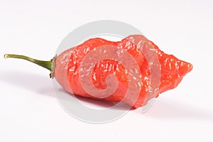 Carolina reaper