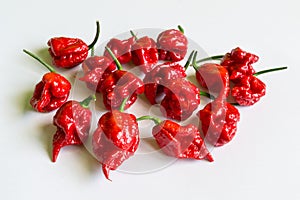 Carolina Reaper