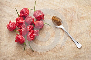 Carolina Reaper strong hot pepper