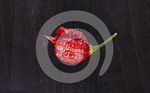 Carolina Reaper strong hot pepper